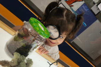 Design sem nome (16)